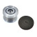 Alternator Freewheel Clutch VKM 03118 SKF