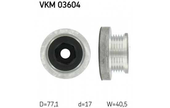 Alternator Freewheel Clutch VKM 03604 SKF