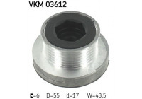 Alternator Freewheel Clutch VKM 03612 SKF