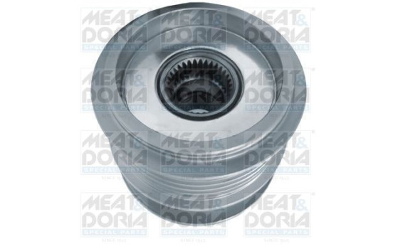 Alternator Freewheel Clutch