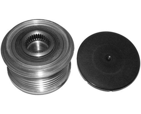 Alternator Freewheel Clutch