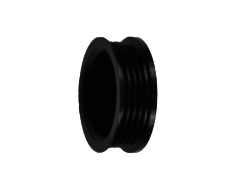 Belt pulley, alternator