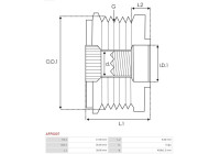 Dynamo freewheel