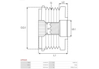 Dynamo freewheel