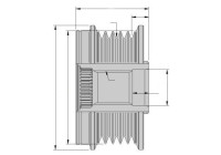 Dynamo freewheel