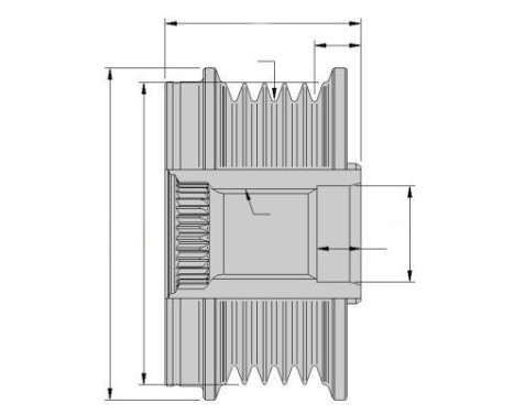 Dynamo freewheel