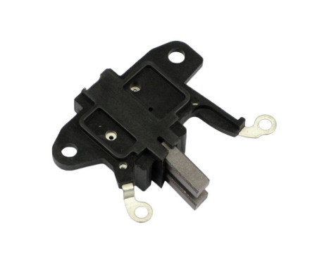 Holder, carbon brush