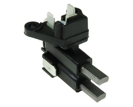 Holder, carbon brush