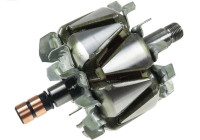 Rotor, generator