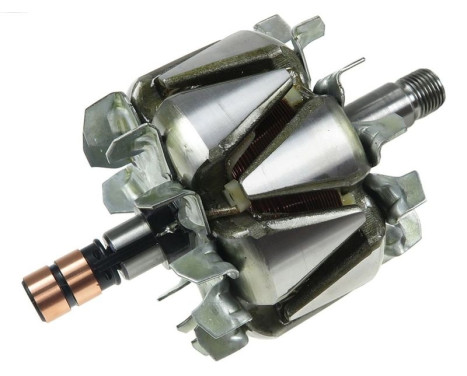 Rotor, generator