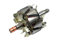 Rotor, generator