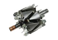 Rotor, generator