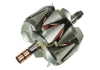 Rotor, generator