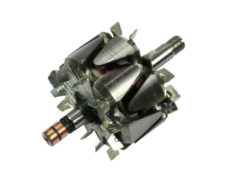 Rotor, generator