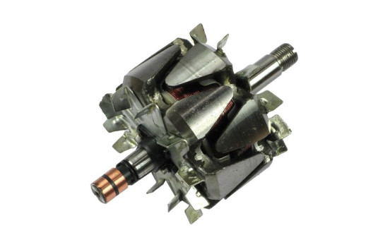 Rotor, generator