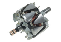 Rotor, generator