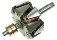 Rotor, generator