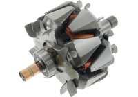 Rotor, generator