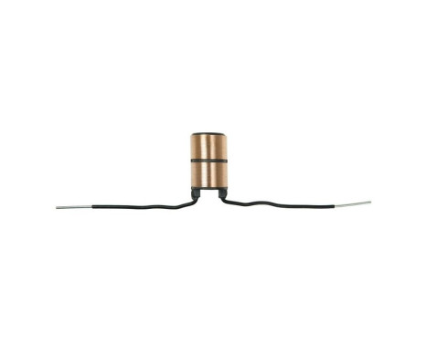 Slip ring, generator
