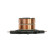 Slip ring, generator
