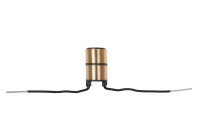 Slip ring, generator