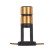 Slip ring, generator