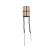 Slip ring, generator