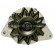 Alternator 12034730 Eurotec