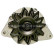 Alternator 12034730 Eurotec, Thumbnail 4