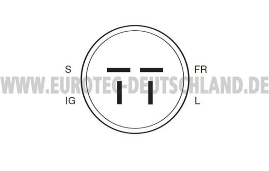 Alternator 12060057 Eurotec, Image 7