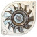 Alternator 12060700 Eurotec, Thumbnail 4
