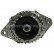 Alternator 12060800 Eurotec
