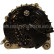 Alternator 12090505 Eurotec, Thumbnail 3