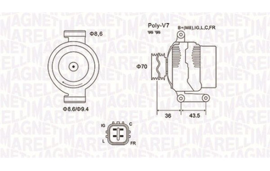 Alternator / Alternator