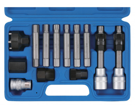 Alternator / idler pulley set 13 pcs.