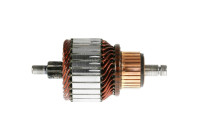 Anchor, starter +Line Selected