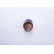 Armature, starter, Thumbnail 8