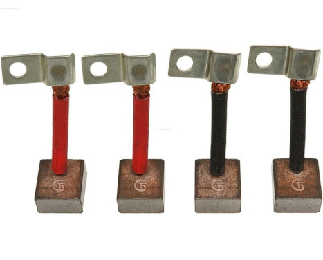 Carbon brush, starter motor