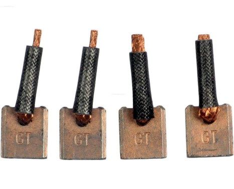 Carbon brush, starter motor