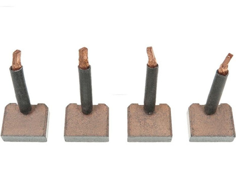 Carbon brush, starter motor