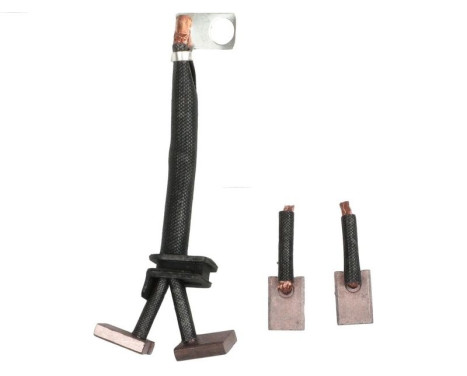 Carbon brush, starter motor