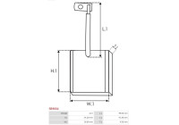 Carbon brush, starter motor