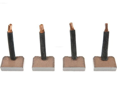 Carbon brush, starter motor