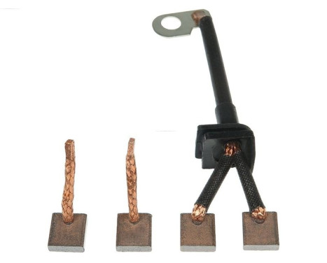 Carbon brush, starter motor