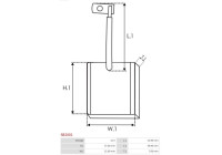 Carbon brush, starter motor