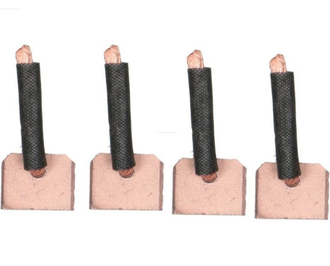Carbon brush, starter motor