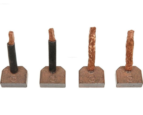 Carbon brush, starter motor