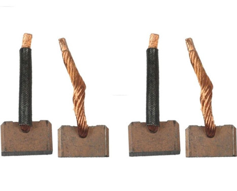 Carbon brush, starter motor