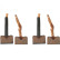 Carbon brush, starter motor