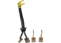 Carbon brush, starter motor